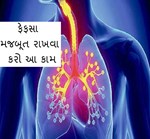 જો તમારા ફેફસાને મજબૂત રાખવા હોય તો ક્યારેય ના કરતા આ પાંચ વસ્તુનુ સેવન
