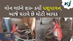 લોન લઈને પશુપાલનની શરૂઆત કરનાર ધર્મિષ્ઠાબેન આજે ધરાવે છે લાખોની આવક