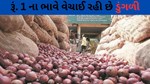 ડુંગળીના નિકાસ પર પ્રતિબંધ યથાવત, ડુંગળીની કિંમત 1 રૂપિયા પ્રતિ કિલોના ભાવે પહોંચી