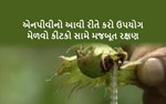 ન્યુક્લિયર પૉલિહેડ્રોસિસ વાઇરસ (એન.પી.વી) : અસરકારક જૈવિક જંતુનાશક 