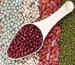 10મી ફેબ્રુઆરીએ વિશ્વ કઠોળ દિવસની ઉજવણી