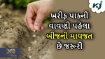 Seed Treatment: ખરીફ પાકનું વાવેતર પહેલા બીજની માવજત છે જરૂરી, આ બાબતોની રાખવી જોઈએ કાળજી