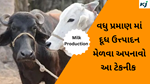 Animal Milk Production દૂધ ઉત્પાદન માટે કેટલાક અસરકારક ઉપાયોગને જાણો અને મેળવો વિપુલ પ્રમાણમાં ઉત્પાદન