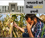 હવે નહીં મળે ખેડૂતોને નુકસાનનું વળતર, ગુજરાત હાઈકોર્ટે સર્વે રિપોર્ટ ફગાવી