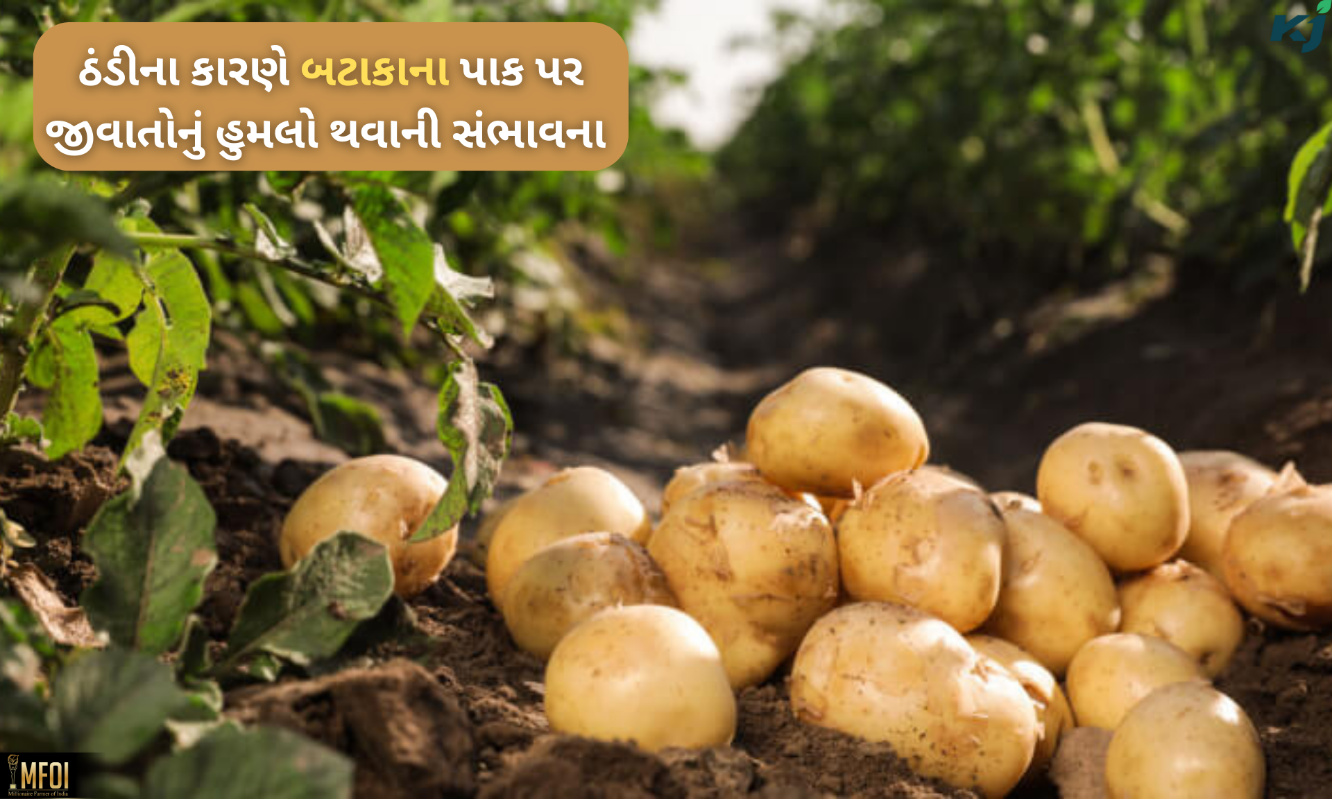 ફોટો-સોશિયલ મીડિયા