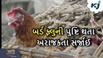 રાજ્યમાં બર્ડ ફ્લ્યુંની પુષ્ટિ, બત્તકોની ઉછેર કરનાર ત્રણ ખેડૂતોને થઈ આડઅસર