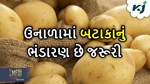 Potato Storage: કાળઝાળ ઉનાળામાં બટાકાનું સારી રીતે ભંડારણ છે જરૂરી