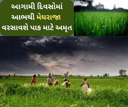 Weather: અંબાલાલ પટેલની આગાહી મુજબ આવનારા દિવસોમાં કૃષિ પાક માટે ખાબકશે અમૃત