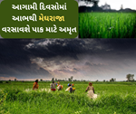 Weather: અંબાલાલ પટેલની આગાહી મુજબ આવનારા દિવસોમાં કૃષિ પાક માટે ખાબકશે અમૃત