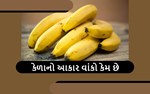 ક્યારે વિચાર્યુ છે કે,કેળાના આકાર વાંકો કેમ હોય છે