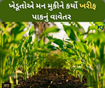 છેલ્લા વર્ષની સરખામણીએ ખેડૂતોએ ખરીફ પાકનું કર્યો રેકોર્ડ તોડ વાવેતર, દરેક પાકના વાવેતરમાં જોવા મળ્યો વધારો