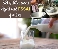 એ 1 એ 2 દૂધ વચ્ચે થઈ રહેલી લડાઈ ડેરી ફાર્મિંગના ખેડૂતો માટે શું સંદેશ લઈને આવી છે ? 