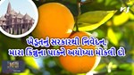 ખેડૂતનું સરકારથી નિવેદન, મારા કિન્નુના પાકને આયોધ્ય મોકલી દો
