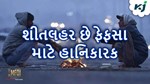 Lungs Health in Winter: શીતલહર કરી શકે છે તમારા ફેફસાને ખરાબ, આવી રીતે રાખો  ખ્યાલ