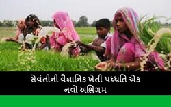 કૃષિ વિધેયક 2020: કોન્ટ્રેક્ટ ફાર્મિંગને લઈ ખેડૂત અને કંપની વચ્ચે કોઈ વિવાદ થશે તો કોર્ટમાં નહીં પણ કોન્સિલિએશન બોર્ડ સુનાવણી કરશે