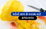કેરીના છાલ આપે છે કોરોના રોગચાળા સામે રક્ષણ !, આગળથી ફેંકતા નહીં