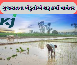 રાજ્યમાં કેટલાક પાકોના વાવેતરથી થઈ શરૂઆત, વરસાદના સાથે જ ખેડૂતોના ચહેરા ખિલ્યા 