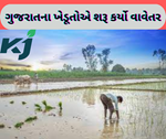 રાજ્યમાં કેટલાક પાકોના વાવેતરથી થઈ શરૂઆત, વરસાદના સાથે જ ખેડૂતોના ચહેરા ખિલ્યા