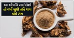 જો આ ઔષધિનું કરશો સેવન તો, જીવનમાં ક્યારેય નહી આ બિમારીઓ