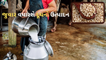 દૂધથી ભરેલી ડોલ જોઈએ છે તો પ્રાણીઓને ખવડાવો જુવારની આ જાત, પોતે કરો ખેતી