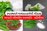 સ્વાસ્થયને લાભકારી અને મીઠાશ આપતી ઔષધીય વનસ્પતિ -સ્ટીવીઆ (મીઠા પાન)