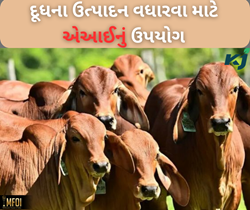 Record: આર્ટિફિશિયલ ઈન્ટેલિજેન્સ થકી 6 કોરડથી પણ વધુ પ્રાણીઓના કરવામાં આવ્યું સંવર્ધન  