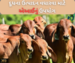 Record: આર્ટિફિશિયલ ઈન્ટેલિજેન્સ થકી 6 કોરડથી પણ વધુ પ્રાણીઓના કરવામાં આવ્યું સંવર્ધન