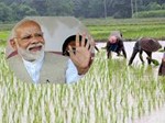 આજે જાહેર થશે પીએમ કિસાન યોજનાનો હપ્તો, જાણો કેવી રીતે કરશો ઘરે બેઠા ચેક