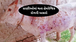 Animals Disease: પ્રાણીઓમાં થતા હેમરેજિક રોગની અસરો, તેના લક્ષણો અને અટકાવવાના પગલાં જાણો