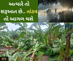 ગુજરાતમાં હવમાન ફરીથી પલટાશે, ખેડૂતોને નુકસાન વેઠવું માટે રહેવું જોઈએ તૈયાર 