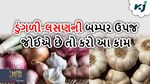 ડુંગળી-લસણના પાન પીળા થઈ ગયા હોય તો આજે જ કરો આ ટ્રીટમેન્ટ, મળશે બમ્પર ઉપજ!