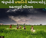 ડીએનએ બારકોડિંગ - જંતુઓની પ્રજાતિની ઓળખ માટેનું ઝડપી અને વિશ્વસનીય પદ્ધતિ