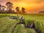ખેડૂત ઉત્પાદક સંગઠન (FPO) – એક ઉભરતી તક