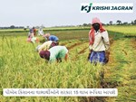 પીએમ કિસાનના લાભાર્થીઓને સરકાર 15 લાખ રૂપિયા આપશે