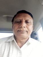 કઠોળના પાકની કાપણી કરતી વખતે ધ્યાનમાં રાખવા જેવી બાબતો