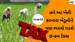 Tax Department  પશુપાલન, ડેરીના કામકાજમાંથી થતી કમાણી પર ટેક્સ ભરવો પડશે, નહીં તો આવકવેરો પાછળ પડશે