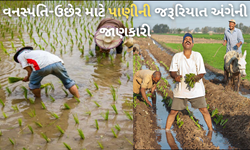 ખેતીમાં પાણીના ઉપયોગની કાર્યક્ષમતા અને આધુનિક પિયત પદ્ધતિઓ