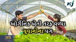 Success Story: સોફ્ટવેયર એન્જિનિયરથી એક સફળ ખેડૂત બનવાની વાર્તા