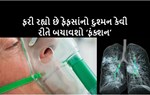 HEALTH IS WEALTH : કોરોના કાળમાં ફેફસાંને કઈ 4 વસ્તુઓ રાખે છે દમદાર ? જાણવા માટે CLICK કરો