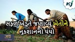 સફળ મહિલા ખેડૂતની વાર્તા, મરી જઈશું પણ પોતાના બાળકોને ક્યારે ખેતી નથી કરવા દઉં