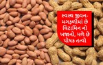 સ્વસ્થ જીવન- મગફળીમાં છે વિટામિન નો ખજાનો, મળે છે પોષક તત્વો