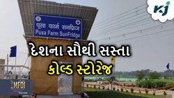 IARI એ વિકસાવ્યું દેશના સૌથી સસ્તા કોલ્ડ સ્ટોરેજ, ખેડૂતોને કર્યો સમર્પિત 