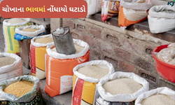Rice Price: વધુ ઉત્પાદનના કારણે ચોખાના ભાવમાં જોવા મળ્યો ઘટાડો 