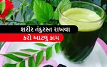 મીઠા લીમડાનું જ્યુસ પીવાથી થાય છે આટલા ફાયદા