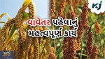ખરીફ પાક બાજરી અને જુવારના વાવેતરથી પહેલા ચોક્કસ કરજો આ કામ