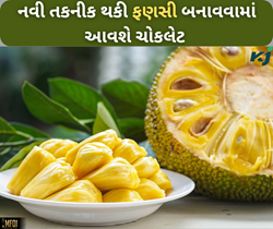 ફણસથી બનાવવામાં આવશે ચોકલેટ, આ નવી તકનીક થકી બાગાયત પાક ઉગાડતા ખેડૂતોને થશે ફાયદા 