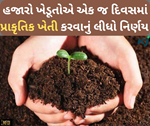 ગુજરાતના ખેડૂતોની કાંઠે યૂપીના ખેડૂતો, યોગી સરકારની પહેલ હજારો ખેડૂતોએ અપનાવી પ્રાકૃતિક ખેતી