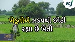 કૃષિ પ્રધાન ભારતના એક એવું રાજ્ય જ્યાં ખેડૂતોનું ઝડપતી ઘટી રહ્યા છે ખેતી પ્રત્યે રસ
