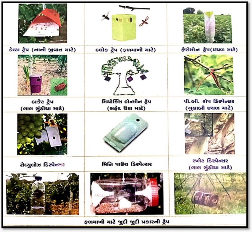 વિવિધ પ્રકારની ફેરોમેન ટ્રેપ
