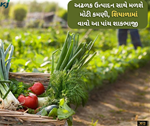 શિયાળામાં જોઈએ છે મોટી કમાણી તો કરો આ પાંચ શાકભાજીની ખેતી....